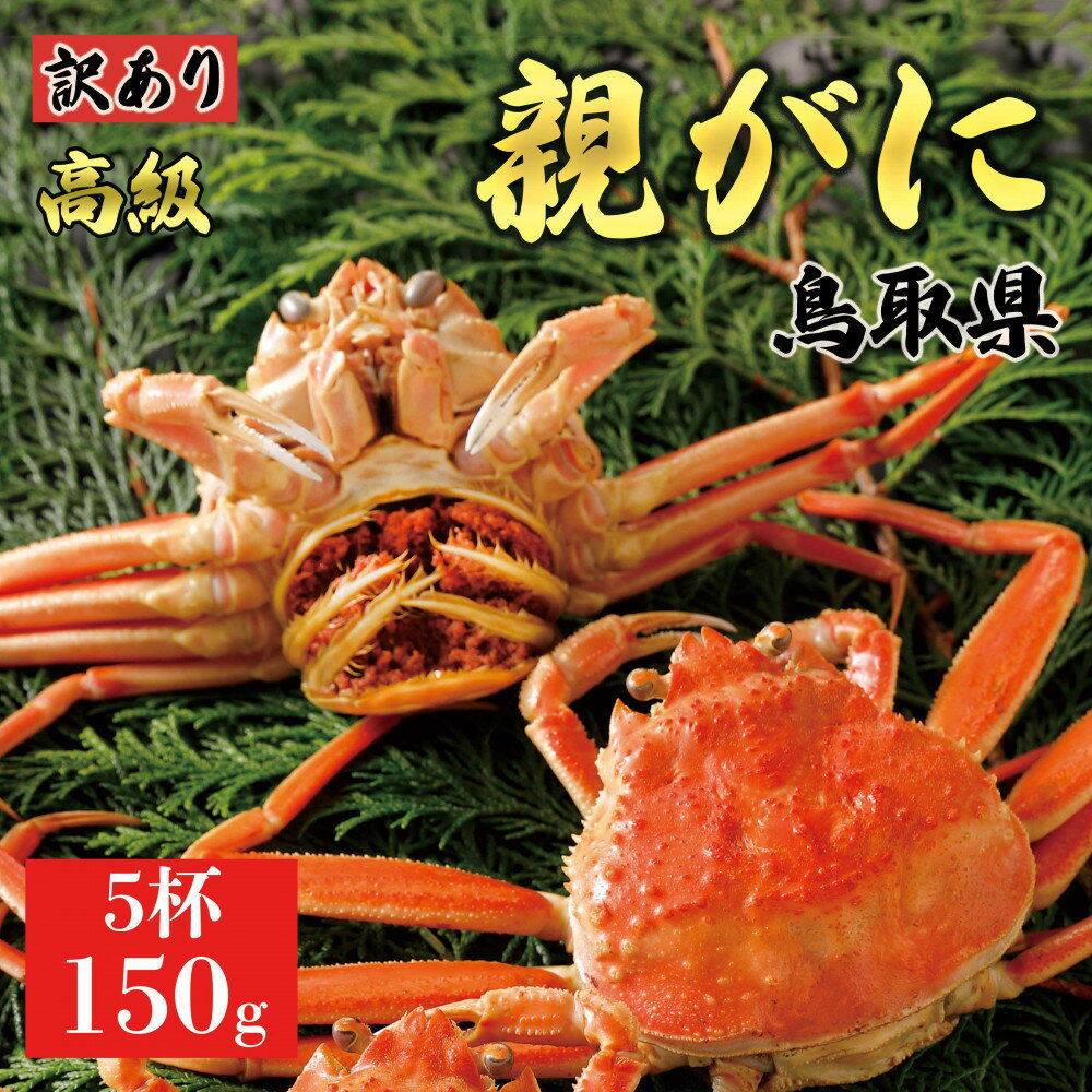 【ふるさと納税】【2025年11月発送】鳥取県産 特撰 親がに 姿【セコガニ】（茹）【訳あり】150g 5杯