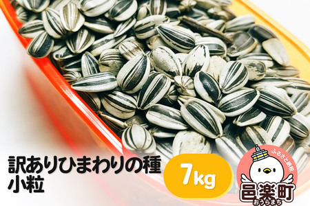 【訳あり】ひまわりの種・小粒 7kg×1箱 ※箱詰め※ サイトウ・コーポレーション 飼料