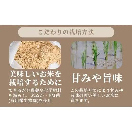 【定期便３回】３ヶ月連続お届け 石垣島産 星の美しゃ（ほしのかいしゃ）15kg（5kg×3回）MK-6