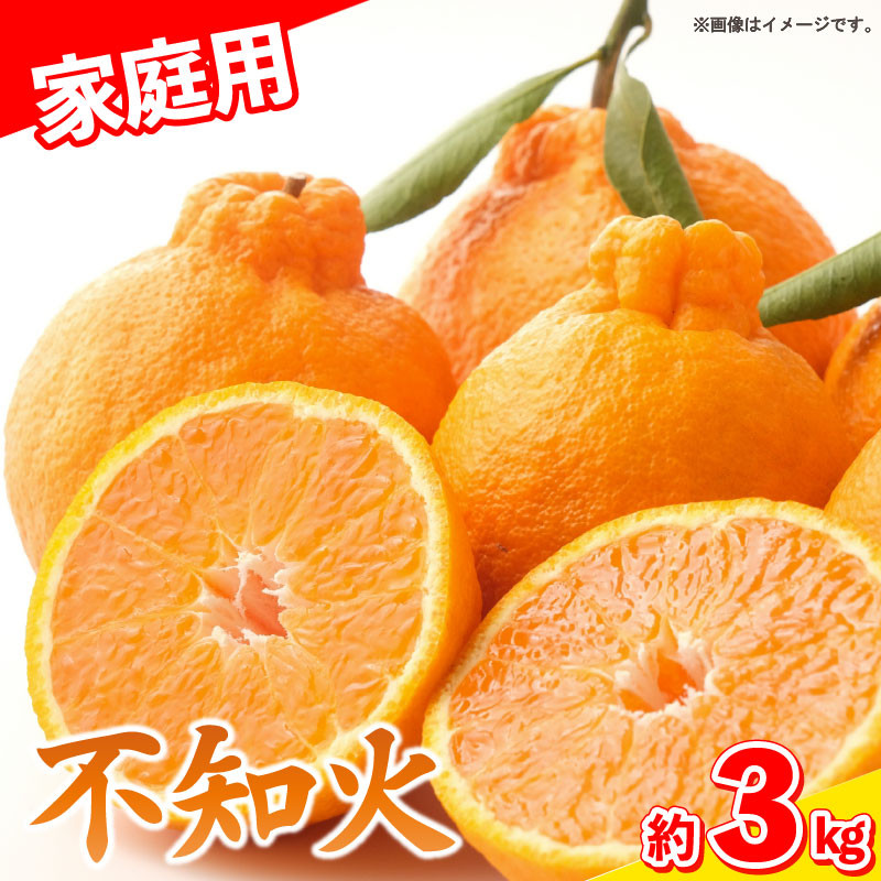 
            【 先行予約 】 しらぬい 不知火 3kg 家庭用 9～10個入り みかん 柑橘 サイズ不揃い 果物 フルーツ 柑橘 徳島県 阿波市 宮田農園
          