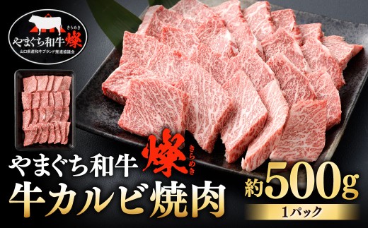 【やまぐち和牛燦】 牛カルビ焼肉 約500g 牛カルビ 焼肉 焼き肉 牛肉 冷凍 福岡県 北九州市