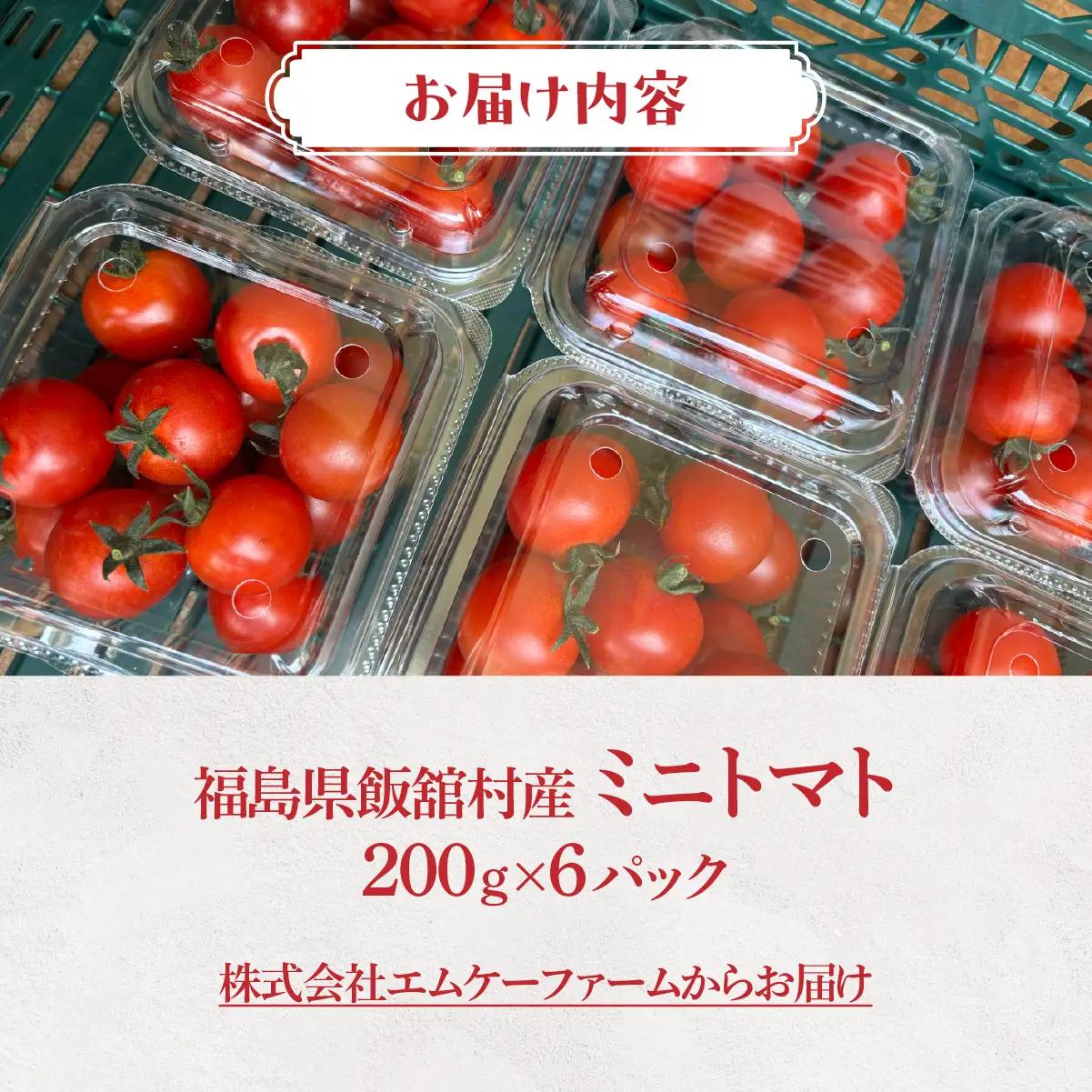 【8月中旬以降発送】飯舘村のミニトマト ITTAO001 | トマト
