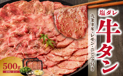 【大盛九条ネギ】 塩ダレ牛タン500g 薄切り 牛タン 九条ねぎ 味付き たん 簡単 焼肉 タン 牛肉 京都府 木津川市 特製塩だれ 牛たん 小分け タン たん 【093-02】