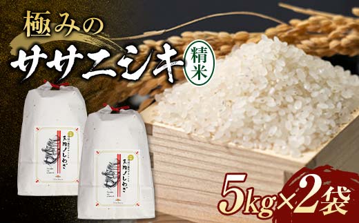 【令和8年産米先行予約】極みのササニシキ 精米 5kg×2袋 米 お米 おこめ 山形県 新庄市 F3S-2875