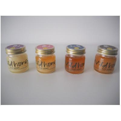 ふるさと納税 能勢町 【RAW HONEY】風味いろいろ!季節のはちみつ4種セット(50g×4本)-純粋・非加熱・国産-
