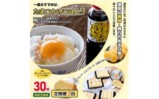 【配送地域限定】【定期便3回】＜白石蔵王育ち＞「竹鶏たまご」30個（保証5個含む）