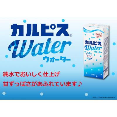 ふるさと納税 東海市 アサヒ飲料 「カルピスウォーター(R)」 紙パックスリム 250ml×24本 |  | 01