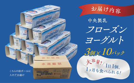 フローズンヨーグルト 30個  ヨーグルト 中央製乳