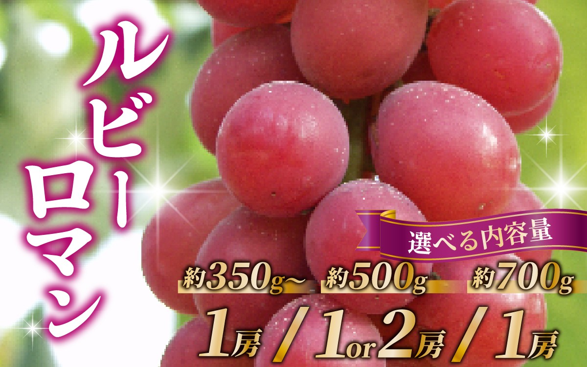 
            【先行予約 2026年収穫分】【選べる容量】ルビーロマン 「約350g×1房」 or 「約500g×1房～2房」 or 「約700g×1房」 【2026年8月中旬より順次発送】| ぶどう 葡萄 ブドウ フルーツ 果物 くだもの 人気 おすすめ 超高級 贈答品 美味しい 甘い 大粒 手土産 果実 冷蔵 土産 お土産 プレゼント
          