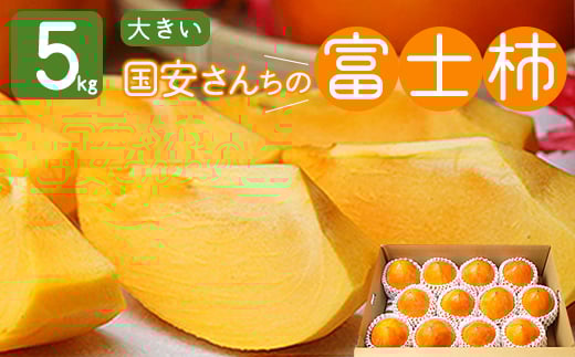 
            《八幡浜特産 国内最大級の 柿》 富士柿 5kg 種無し＜C20-21＞【1094600】
          