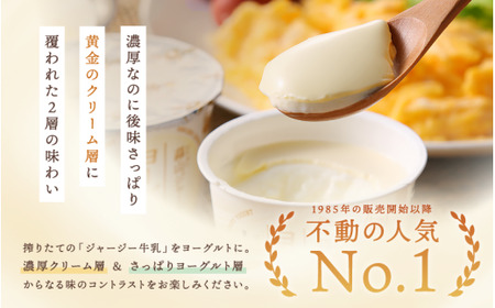 （定期便）12ヶ月×月2回 全24回 蒜山ジャージーヨーグルトセット 定番人気NO.1 冷蔵 「ご当地ヨーグルトグランプリ」金賞 デザート プレゼント 蒜山酪農 真庭   岡山  ジャージー 牛 牛乳