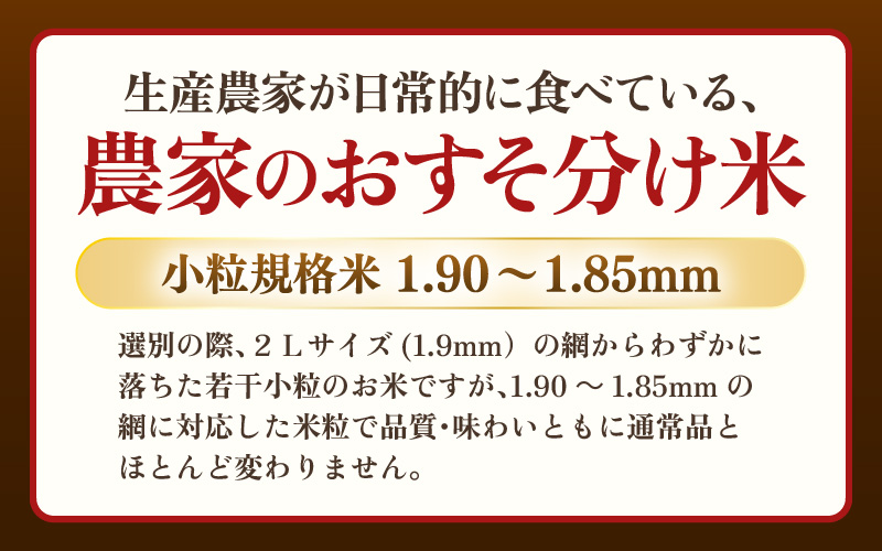 【先行予約】定期便≪3ケ月≫令和8年産 若干小粒米 5kg×3回 計15kg  福井県越前町産 コシヒカリ・ハナエチゼン・あきさかり・にこまるのいずれか1品種 【白米】 小粒規格米【2026年10月中