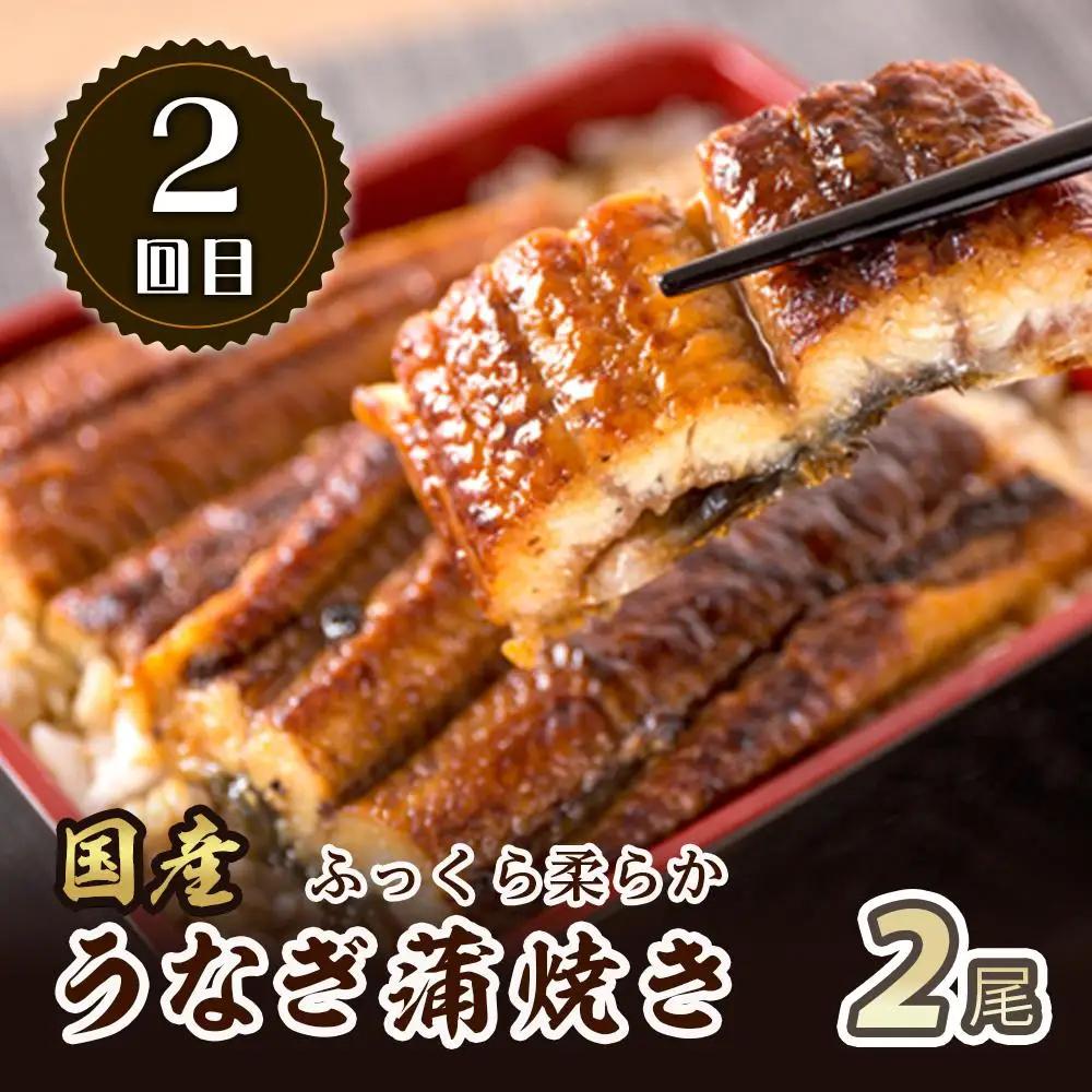 【定期便 全3回】紀州和歌山うまいもんセットB（生まぐろ・うなぎ蒲焼・熊野牛）【UT126】