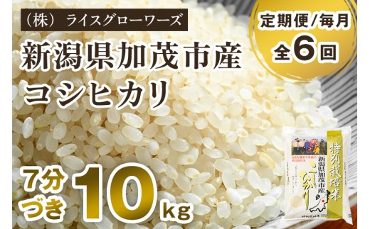 【令和8年産新米先行予約】【定期便6ヶ月毎月お届け】7分づき 特別栽培米 コシヒカリ 精米 10kg（5kg×2）《10月上旬～順次出荷》 従来品種コシヒカリ （株）ライスグローワーズ 新潟県 加茂市産 白米 米 お米 定期便
