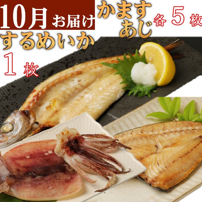 室戸流藁焼きタタキと地魚干物定期便B（年６回・偶数月お届け）_イメージ5