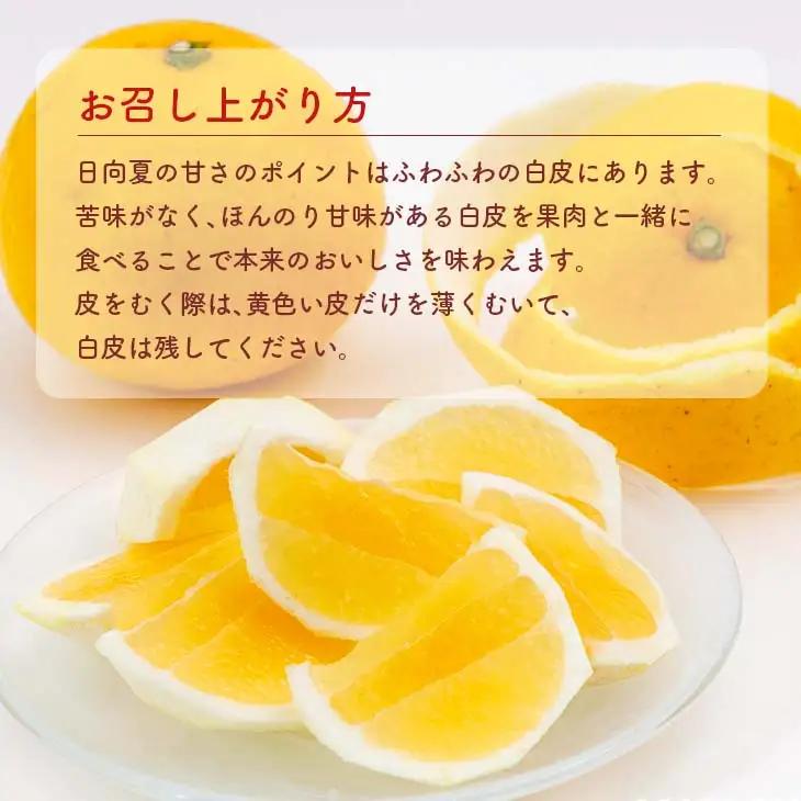 先行予約 酸味と甘味は恋の味 恋する 日向夏 計3kg以上 令和9年発送_AV1-25