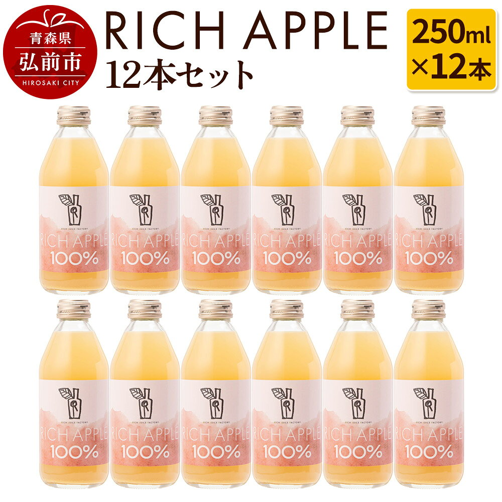 【ふるさと納税】りんごジュース RICH APPLE 12本セット（250ml×12本） [アップル おいしい ジュース セット セット品 りんご 飲料 果実 果物 美味 林檎]