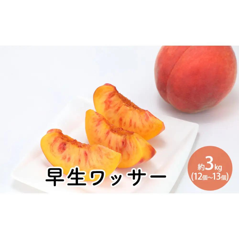 前島農家 早生ワッサー約3kg（12個～13個） | 桃 フルーツ 旬 桃