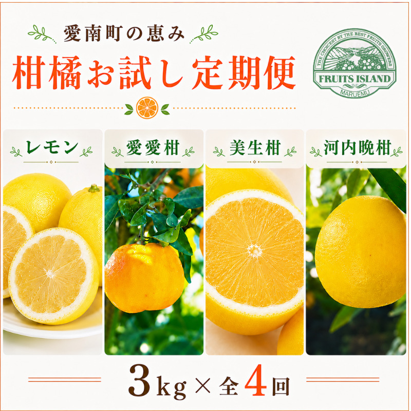 定期便 4回 4ヶ月 レモン ポンカン 美生柑 河内晩柑  柑橘 みかん 蜜柑 みしょうかん フルーツ 果物 くだもの ばんかん かんきつ ゼリー ジュース アイス マーマレード 旬 季節 限定 贈答 ギフト mikan ジューシー サラダ ピール 厳選 国産 愛媛 ご当地ブランド 愛媛県 愛南町 フルーツアイランド・マルエム直販