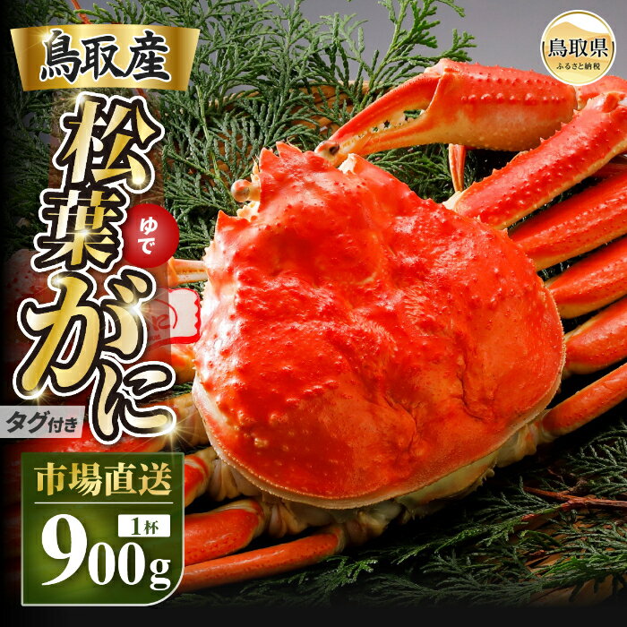 【ふるさと納税】【2026年11月発送】特撰　松葉がに（茹）【ブランドタグ付き】900g超の大きいサイズ　食べ応えあり　特大1杯【期間限定】_T2600603