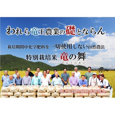 ふるさと納税 竜王町 【2025年2月中旬発送】【2024年産】竜の舞 キヌヒカリ10kg |  | 01