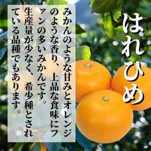 【早期予約受付中！2025年12月～順次発送】二種のみかん食べ比べ箱 【愛果 28 号・はれひめ】 約 1.5kg 良品 みかん 先行予約 蜜柑 柑橘 果物 くだもの フルーツ お取り寄せ グルメ 期