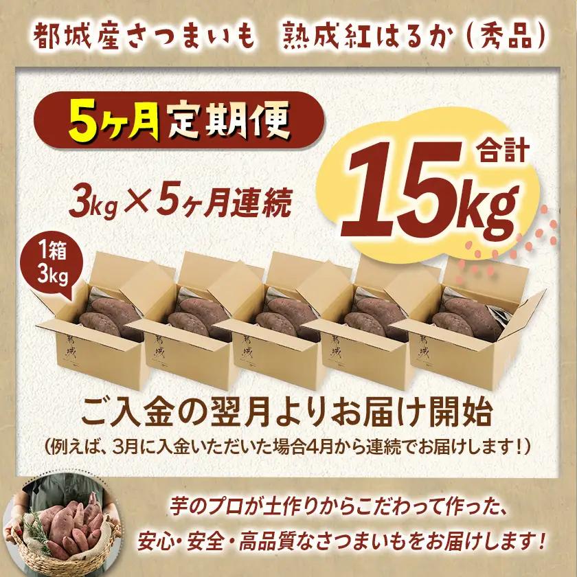 【5回お届け!】都城産 長期熟成紅はるか 3kg 定期便〔TLE5-I201〕_(都城市) 都城産 さつまいも 熟成紅はるか 秀品 3kg サイズ未選別 S～L 
