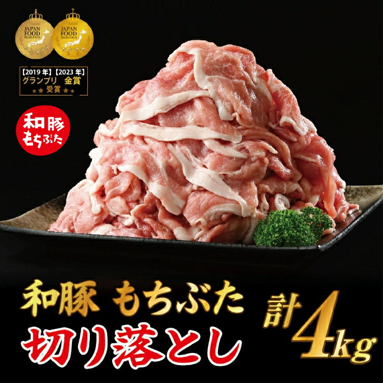 【ふるさと納税】【選べる発送月】和豚 もちぶた 切り落し 4kgセット (400g×10パック) ｜和豚もちぶた 切り落とし肉 ポーク 豚肉 切り落とし 小分け 国産 栃木県 壬生町