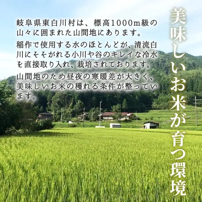 令和7年産 コシヒカリ 米 5kg 白米 精米 東白川村産 岐阜県 お米 こめ 精米 ご飯 米 おにぎり