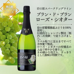 ワイン 岩の原スパークリングワイン 瓶内二次発酵２本セット （750ml） 酒 ギフト 新潟 上越
