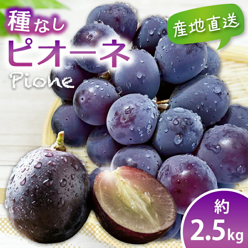 【ふるさと納税】種なしピオーネ＜約 2.5kg＞【2026年8月下旬～9月上旬頃発送予定】/ 和歌山県 かつらぎ町 ピオーネ ぶどう 葡萄 ブドウ たねなし 種なし ジューシー 甘い 令和8年発送 期間限定 フルーツ 果物【A-frks171】