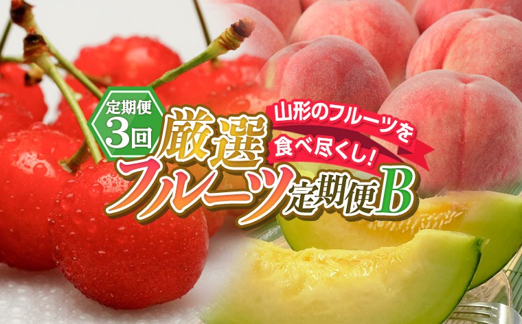 
                  【定期便3回】山形のフルーツを食べ尽くし！厳選フルーツ定期便B FY26-064
                