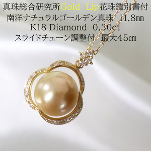 1553　【真珠総合研究所GoldLiｐ花珠鑑別書付】K18 南洋ナチュラルゴールデン真珠　11.8㎜　ダイヤモンド0.30ct　ペンダントネックレス