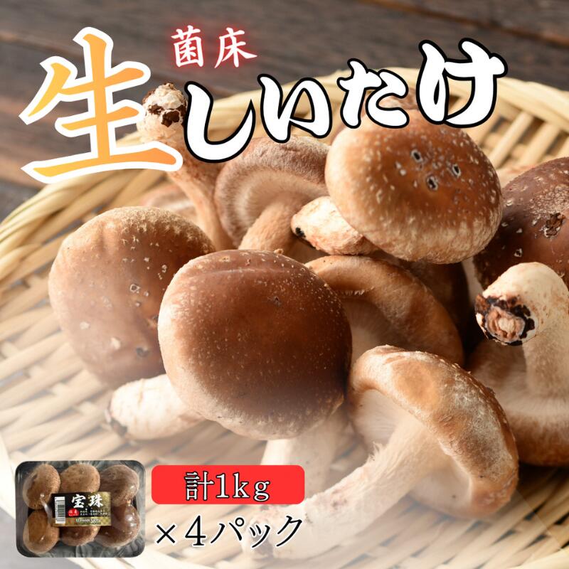 【ふるさと納税】きのこ 菌床生椎茸 1kg 250g×4パック 宝珠 生しいたけ 栽培 菌床栽培 焼き椎茸 揚げ物 京都府 南丹市 ギフト 贈り物