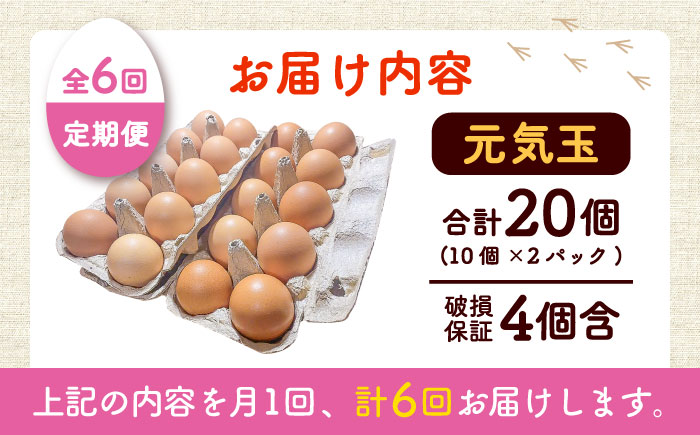 【全6回定期便】平飼い新鮮たまご　元気玉 計20個(10個×2パック) / 卵 ぷりぷり 新鮮 玉子 オムレツ たまごかけごはん 朝食 鶏卵 平飼い 濃厚 こく 熊本県 菊陽町【ぴよっこファーム】 [