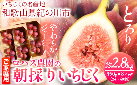 ご家庭用 朝採りいちじく 2箱 約2.8kg 350g×8パック ロハス農園【配送不可地域あり】