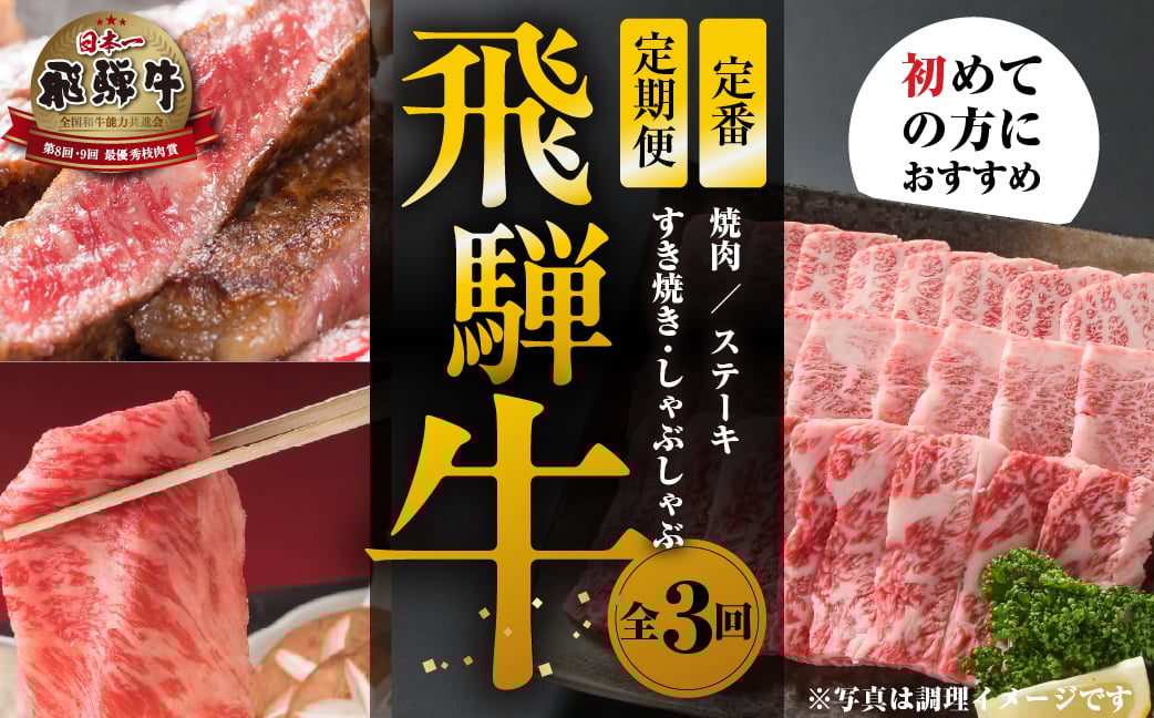 
            《定期便》全3回 飛騨牛 定番（ 焼肉 / すき焼き / ステーキ）[飛騨高山ミート]  | 冷凍真空パック 肉 お肉 すきやき 黒毛和牛 和牛 人気 おすすめ 牛肉 [MZ102]
          