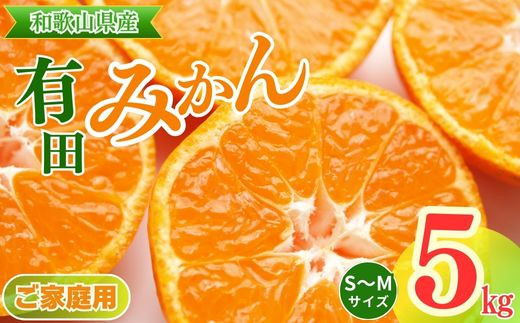 【ご家庭用】和歌山有田みかん約5kg(S、Mサイズ)◇【美浜町】 ※2023年10月下旬頃～2024年1月中旬頃に順次発送予定 ※北海道・沖縄・離島への配送不可