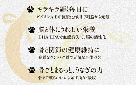 【鹿児島県大隅産】千歳鰻 うなぎの頭のペットフード 1袋3個入り×10袋