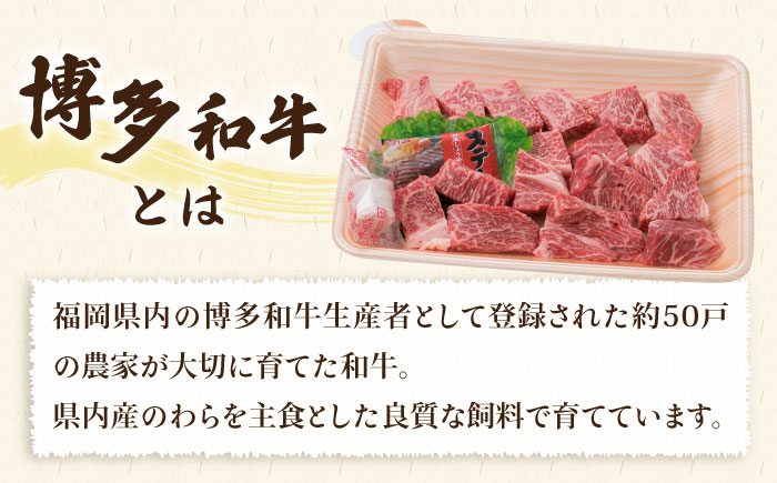 【人気セット】A4ランク 博多 和牛 ヒレ肉 サイコロ ステーキ 300g / 生 ハンバーグ 150g × 3個 《糸島》 【糸島ミートデリ工房】 [ACA052] 博多和牛 黒毛和牛 牛肉 サイコ