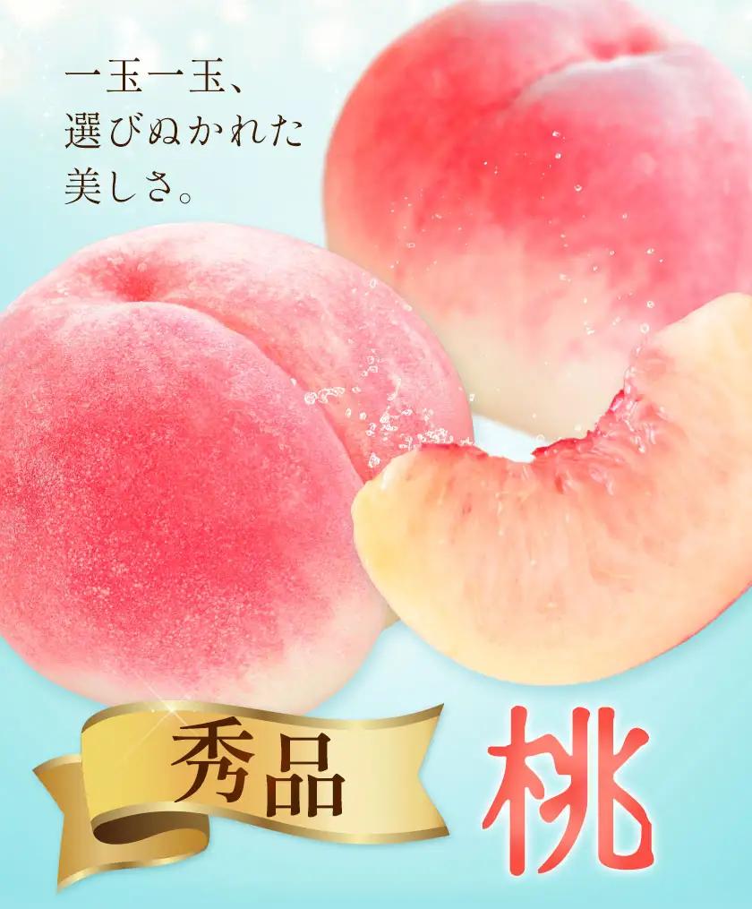 桃 秀品 モモ 4玉 株式会社農業福祉研究機構《6月下旬-8月上旬頃出荷》和歌山県 紀の川市 送料無料 フルーツ 果物 もも 白鳳 なつっこ 川中島白桃 旬 旬のフルーツ お取り寄せフルーツ