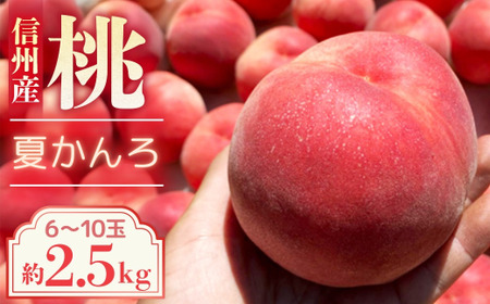 【2026年発送先行予約】桃　夏かんろ　約2.5kg【6～10玉】農家直送　もも