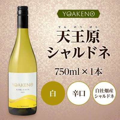 ふるさと納税 笛吹市 山梨県 YOAKENO 天王原シャルドネ 750ml×1本 白ワイン 辛口 モンデ酒造 笛吹市 |  | 03