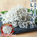 【ふるさと納税】＜漁師さん自慢のしらす干し 1kg(100g×10パック)＞ シラス 魚介類 さかな 海産物 海鮮 海の幸 小分け 国産 ご飯のお供 丼 おつまみ 晩酌 おかず おやつ 特産品 産地直送 濱田水産 愛媛県 西予市 【冷凍】『1か月以内に順次出荷予定』