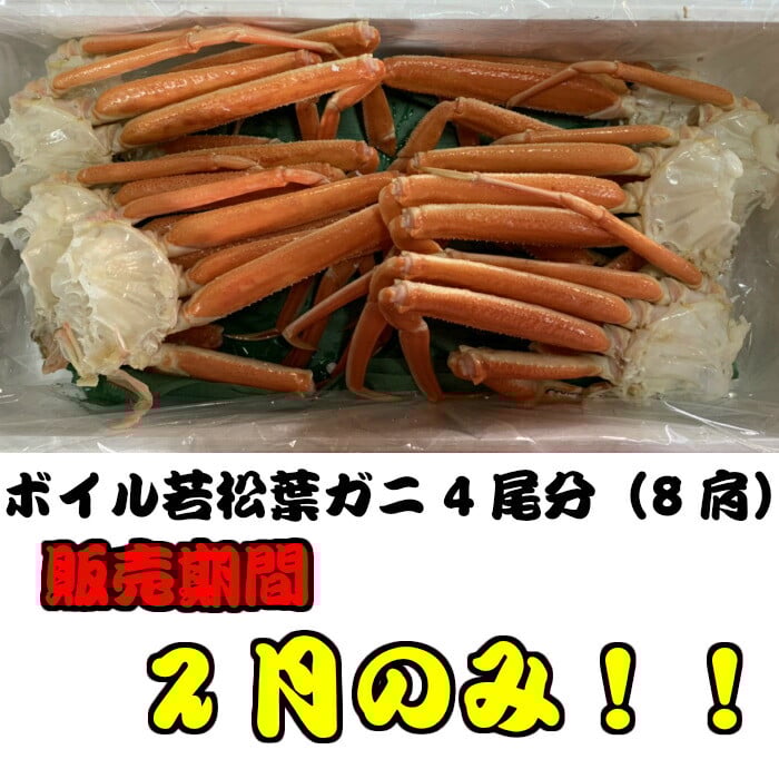 
            【魚倉】ボイル若松葉ガニ 4尾分8肩（足１～２本なし含む） 松葉ガニ カニ ズワイガニ ボイル 冷蔵 カニ爪 かにしゃぶ カニ刺身 ずわいがに 鮮度抜群 国産 高級 足欠け 足かけ 限定価格 限定寄付額 鳥取県 倉吉市
          