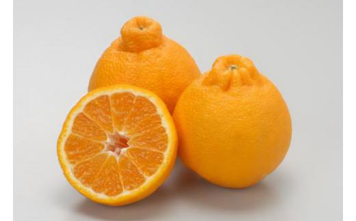 【先行予約】不知火（生果5kg）※離島への配送不可（2026年2月上旬～2月下旬頃に順次発送予定） 【 ふるさと納税 人気 おすすめ ランキング 柑橘 みかん ミカン 不知火 しらぬい mikan 蜜柑 果物 生果 フルーツ デコポン と同品種 愛媛県産 愛媛県 伊方町 送料無料 】 IKTBD011