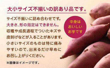 さつまいも 紅はるか or シルクスイート 蜜芋 5kg【合同会社 福福堂】さつまいも サツマイモ さつま芋 熊本県産さつまいも 国産さつまいも 焼き芋 やきいも  [ZCN013]