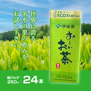 おーいお茶　250ml　24本　伊藤園　紙パック