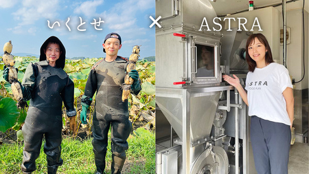 職人が作る タマネギ香る！ジャーマンミートローフと無塩せき粗挽きソーセージ 味わいセット いくとせ 国際線 ファーストクラス ビジネスクラス 機内食 グルテンフリー 卵不使用 国産豚肉 ビール お酒 