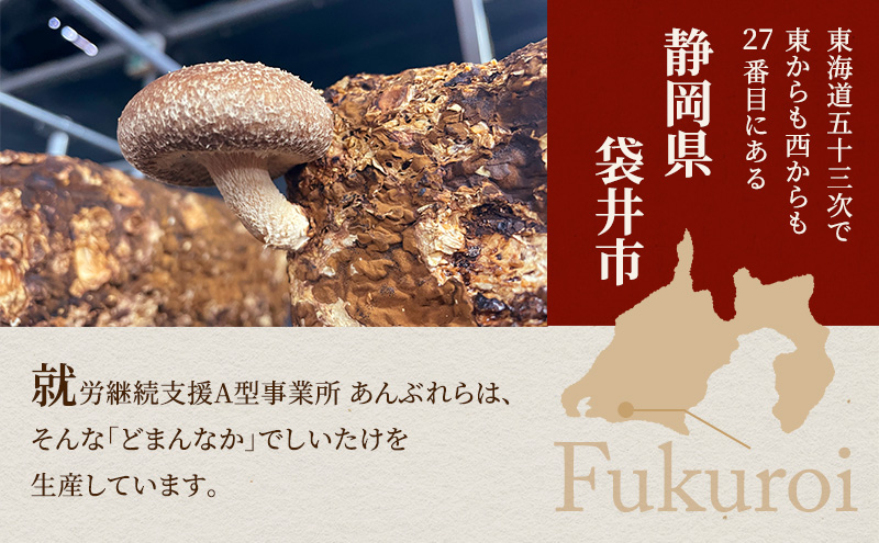 【遠州どまんなかしいたけ】 生しいたけ 約400g 椎茸 産地直送 国産 料理 素材 出汁 日本料理 就労支援 福祉 静岡 袋井
